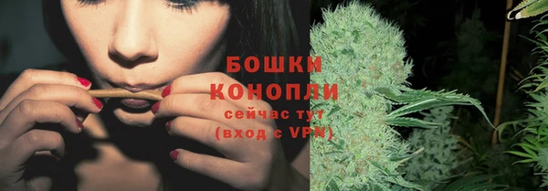трава Беломорск